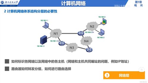 計算機網(wǎng)絡體系結構及互聯(lián)網(wǎng)信息服務概述